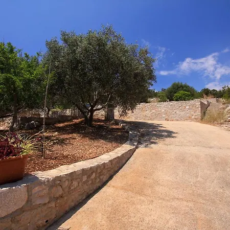 アパート Robinson Leonardo