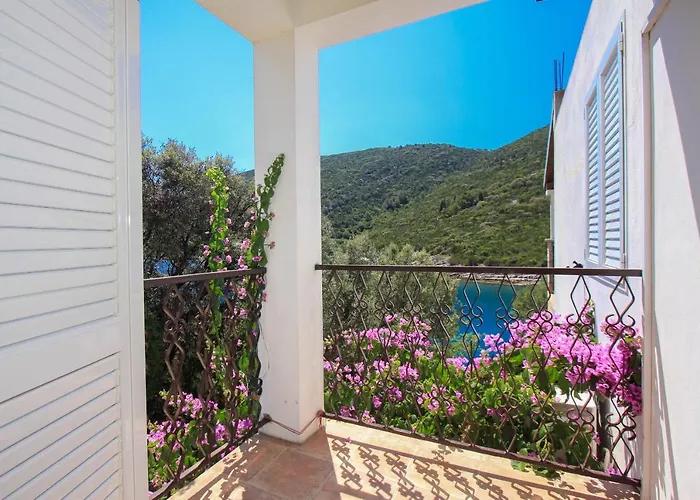 Robinson Leonardo